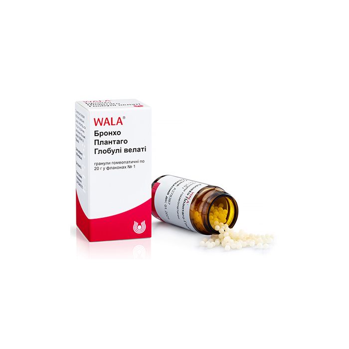 Бронхо Плантаго Глобулі Велаті гранули 20 г