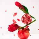 Гель для душу Roger&Gallet (Роже&Галье) Червоний імбир 200 мл foto 2