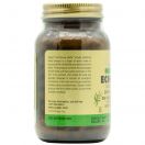 Solgar Ехінацеї пурпурової екстракт капсули №100 foto 2