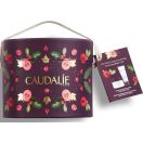 Набір Caudalie (Кодалі) Body Care (Крем для рук і нігтів 75 мл + Бальзам для тіла 225 мл) foto 2