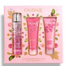 Набір Caudalie (Кодалі) Rose de Vigne (Вода енергетична 50 мл + Гель для душу 50 мл + Крем для тіла живильний 50 мл) foto 1
