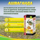 Ашваганда Супер концентрат капсули 500 мг №60 foto 3