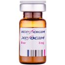 Ксефокам 8 мг порошок для ін'єкцій №5 foto 2