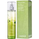 Енергетична туалетна вода Caudalie (Кодалі) Квітка Винограду, 50 мл foto 2