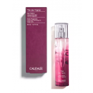 Енергетична туалетна вода Caudalie (Кодалі) Тігрейп Вінь, 50 мл foto 2