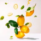 Парфумована вода Roger&Gallet (Роже&Галье) Цедрат 30 мл foto 3