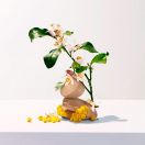 Мило Roger&Gallet (Роже&Галье) Неролі 100 г foto 3