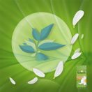 Прокладки щоденні Naturella Camomile Green Tea Magic Normal №20 foto 3