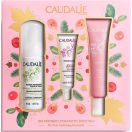 Набір Caudalie (Кодалі) Vinosource Sorbet (Сироватка S.O.S 10 мл + Крем сорбет 40 мл + Пінка для зняття макіяжу 50 мл)  foto 1