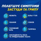 ТераФлю пакетики №10 foto 4