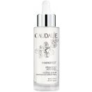 Сировотка Caudalie (Кодалі) Vinoperfect сяюча корекція кольору обличчя 50 мл  foto 1