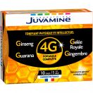 Juvamine (Жувамін) 4G женьшень + маточне молочко + гуарана + імбир Тонус по 10 мл ампули №10 foto 1