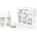 Набір Caudalie (Кодалі) Vinoperfect set для сяйва та рівного кольору обличчя foto 2
