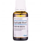 Галіум-хеель краплі 30 мл foto 2