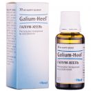 Галіум-хеель краплі 30 мл foto 4