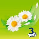 Хустинки носові Zewa де люкс ромашка 10х10 foto 2