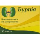 Бурпія 420 мг капсули, 30 шт. foto 1