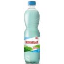 Вода мінеральна Трускавецька негазована Аква Еко 0,5 л  foto 1