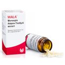 Метеорік Айрон Глобулі Велаті гранули 20 г foto 1