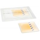 Пов'язка Alpe (АЛПЕ) ПримаДерм гідроколоїдна 15 х 18 см №1 foto 1