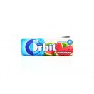 Жувальна гумка Orbit Соковитий кавун без цукру 14 г foto 1