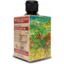 Шампунь Original Botanic (Оріджінал Ботанік) Total Repair для пошкодженого волосся відновлюючий жіночий 250 мл foto 3