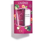 Набір Caudalie (Кодалі) LipHand Duo (Крем для рук The des Vignes 30 мл + Кондиціонер для губ зволожуючий 4,5 г) foto 1