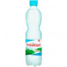 Вода мінеральна Трускавецька негазована 0,5 л foto 1