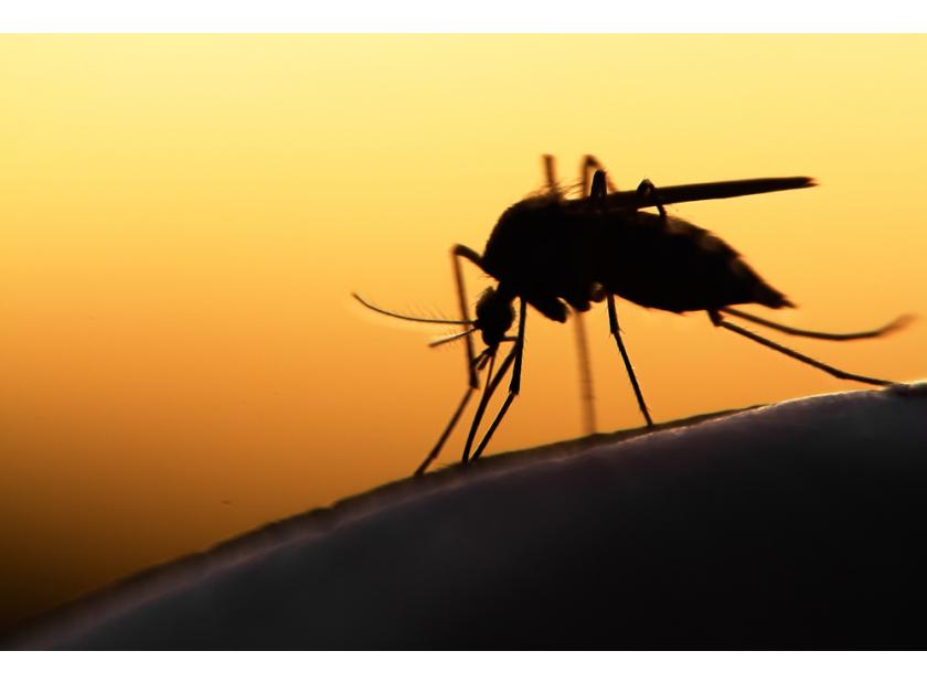 ЗАХИЩАЄМОСЯ ВІД КОМАРІВ БЕЗПЕЧНО